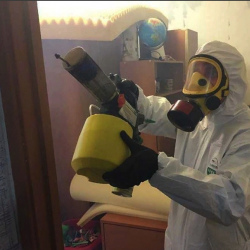 Уничтожение клопов в квартире. Абдулино